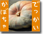 ハロウィンかぼちゃ