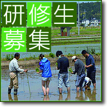 食育研修生募集