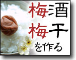 日本酒仕込み体験