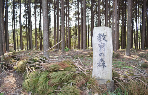 教育の森